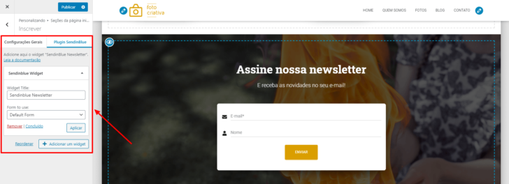 Editor visual do WordPress, com a área de inserção de newsletter selecionada