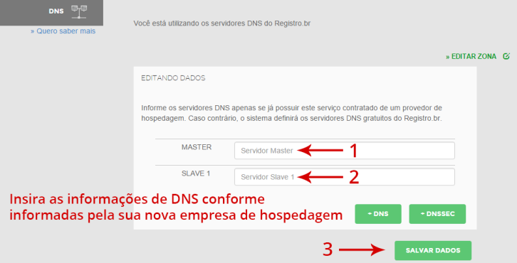 Insira as informações de DNS conforme informadas pelo seu provedor de hospedagem