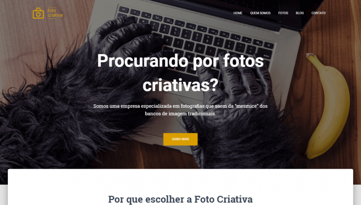 Visão da página inicial do site de demonstração após as customizações