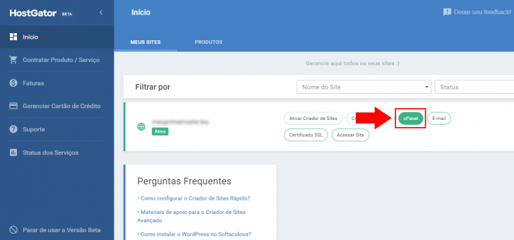 Link de acesso ao cPanel no painel do cliente