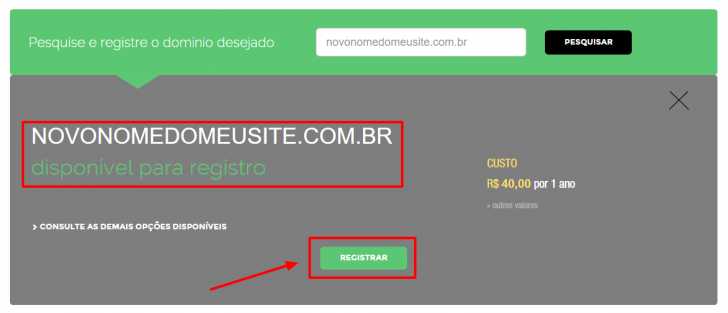 passo 2 - registro.br - consulta registro